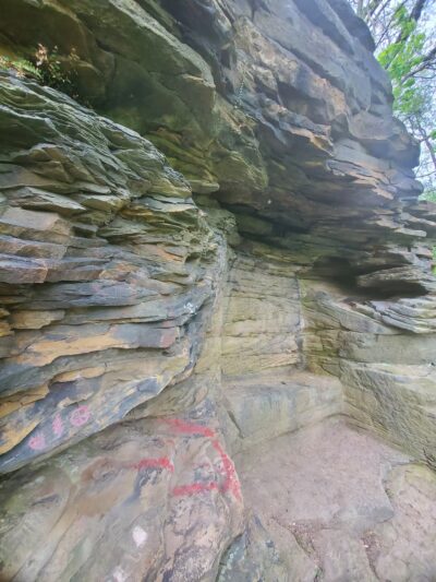 Trail to Rapp's Seat - Harmony, PA