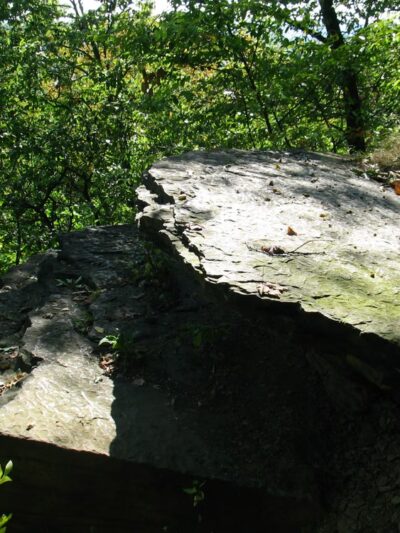 Trail to Rapp's Seat - Harmony, PA