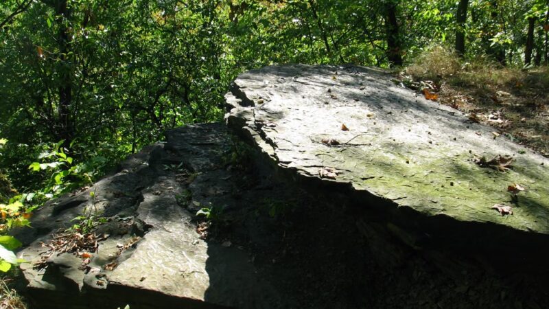 Trail to Rapp's Seat - Harmony, PA