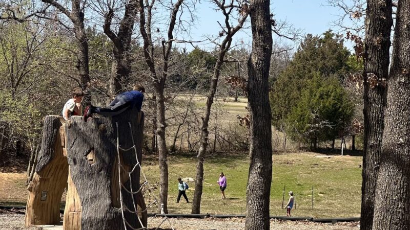 Lion's Park - Harrah, OK