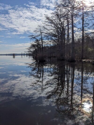 Cypress Landing RV Park - Harrellsville, NC