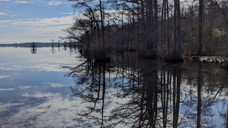 Cypress Landing RV Park - Harrellsville, NC