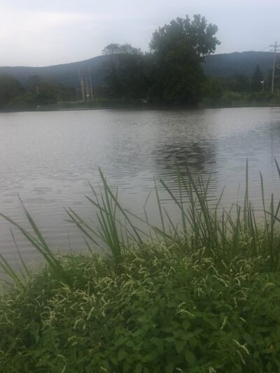 Harriman Parks & Recreation - Harriman, NY