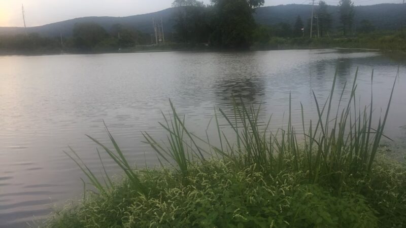 Harriman Parks & Recreation - Harriman, NY