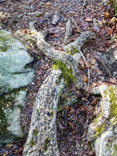 North Fingerboard Mountain - Harriman, NY