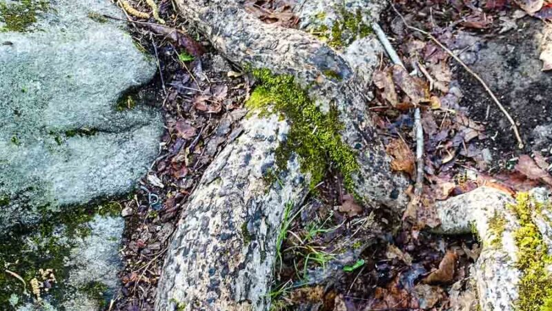 North Fingerboard Mountain - Harriman, NY