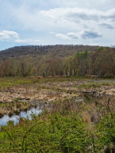 North Fingerboard Mountain - Harriman, NY