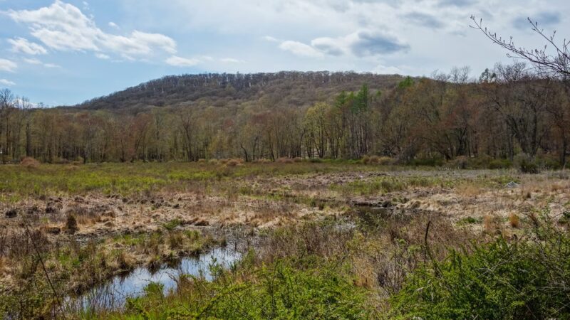 North Fingerboard Mountain - Harriman, NY
