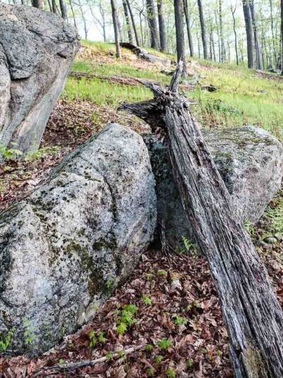 North Fingerboard Mountain - Harriman, NY