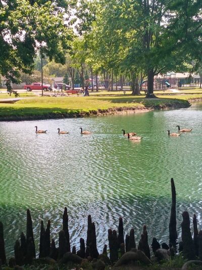 Harrisburg Township Park - Harrisburg, IL