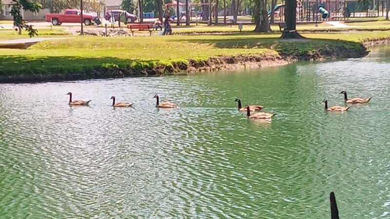 Harrisburg Township Park - Harrisburg, IL