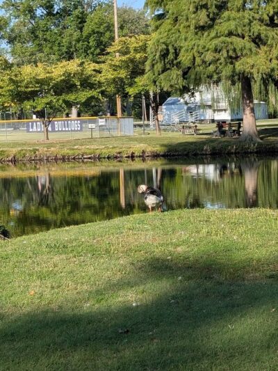 Harrisburg Township Park - Harrisburg, IL