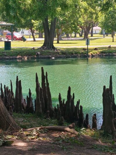 Harrisburg Township Park - Harrisburg, IL