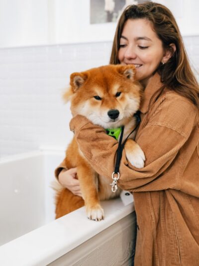 Bubbly Paws - Harrison, NJ