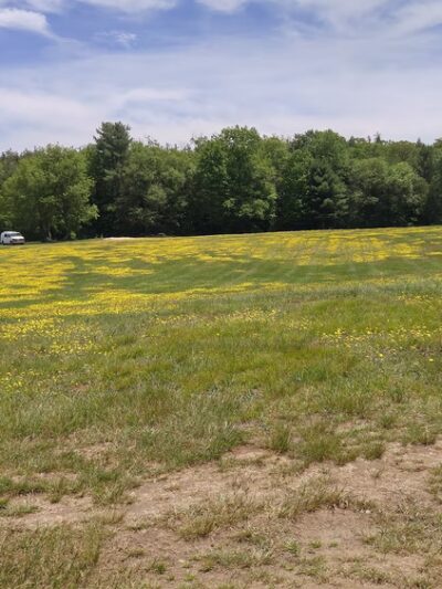 Field & Forest Recreation Area - Harrisville, NH