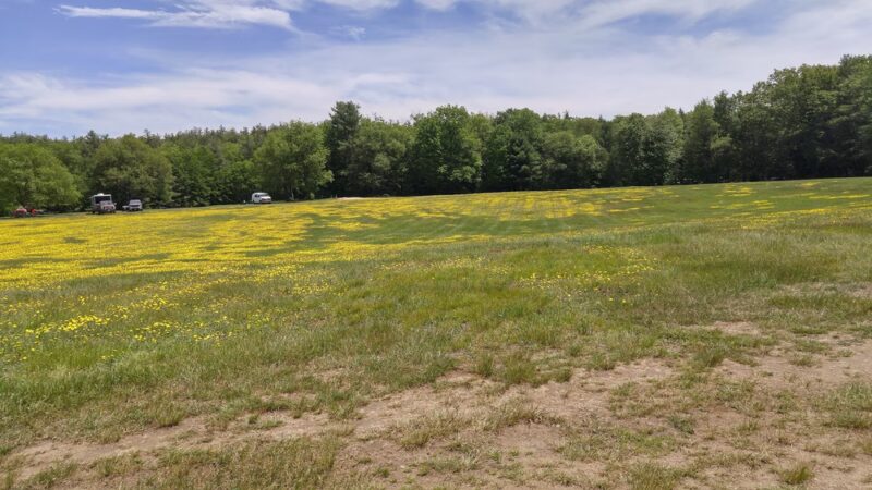 Field & Forest Recreation Area - Harrisville, NH