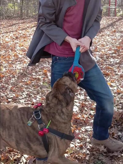 Hartford City Dog Park - Hartford City, IN