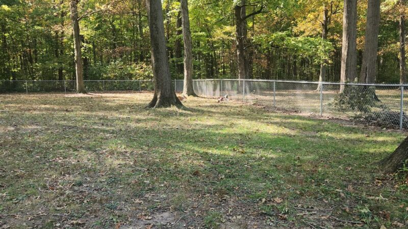Hartford City Dog Park - Hartford City, IN