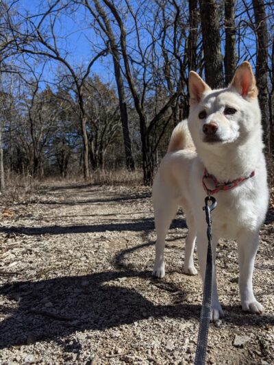 Dove Roost Trail - Hartford, KS
