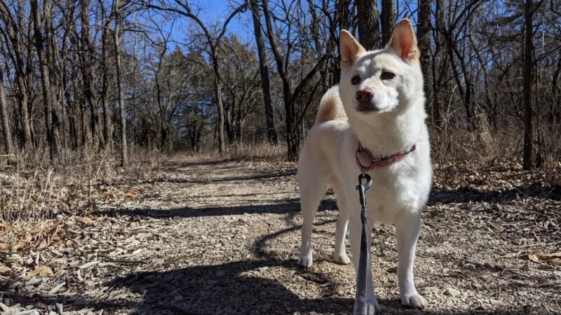 Dove Roost Trail - Hartford, KS