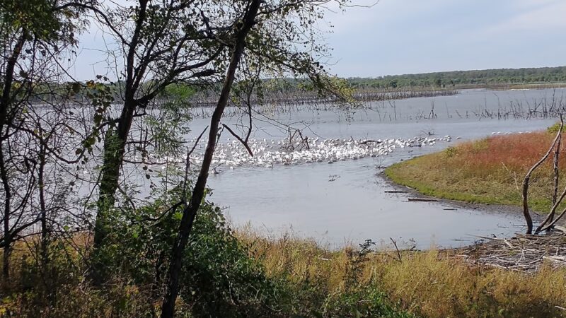 Dove Roost Trail - Hartford, KS