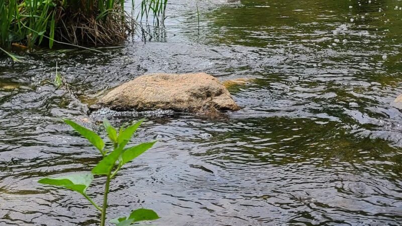 Pollworth Park - Hartland, WI