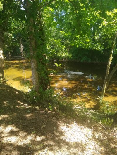 Trey Park - Hartsville, TN