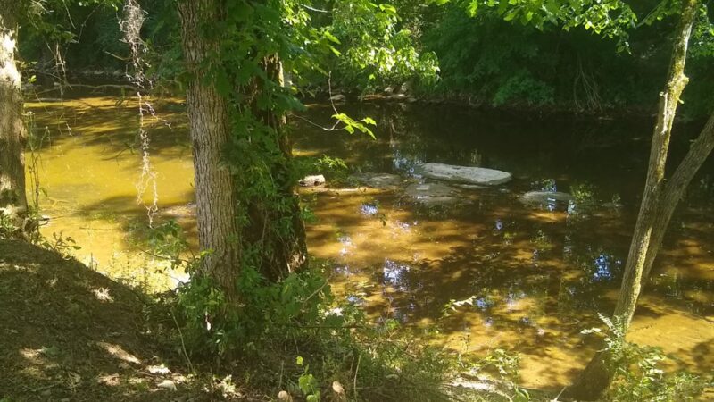 Trey Park - Hartsville, TN