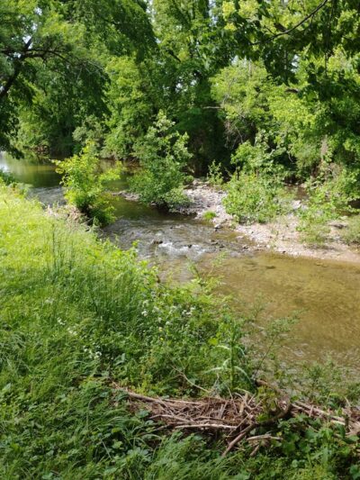 Trey Park - Hartsville, TN