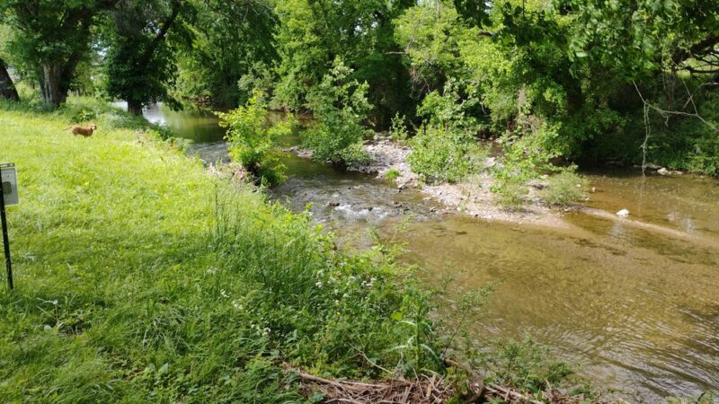 Trey Park - Hartsville, TN