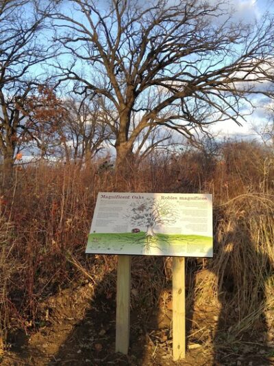 Gateway Nature Park - Harvard, IL