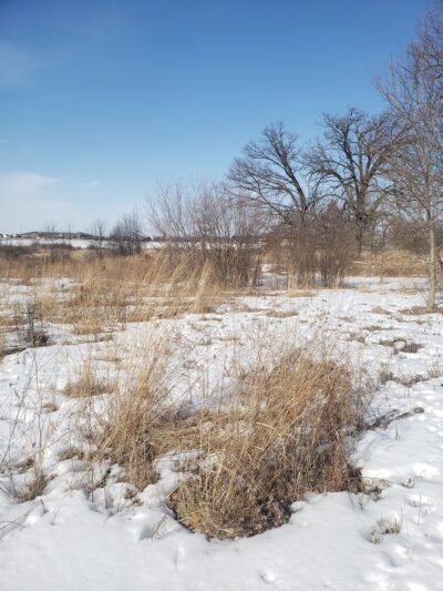 Gateway Nature Park - Harvard, IL