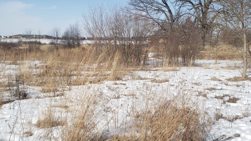 Gateway Nature Park - Harvard, IL