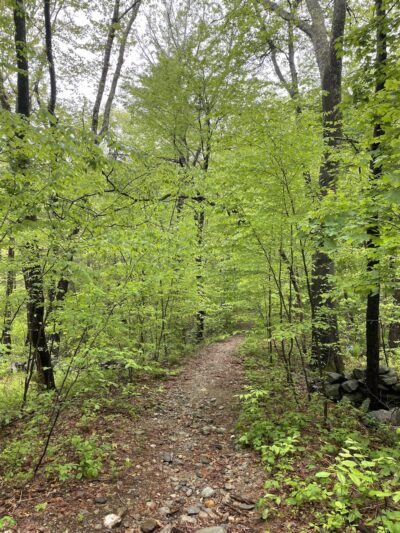 Barba's Point Trails - Harvard, MA