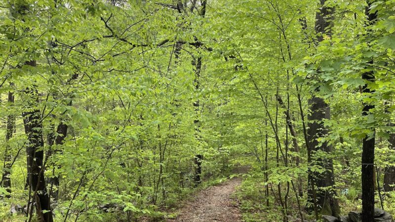 Barba's Point Trails - Harvard, MA