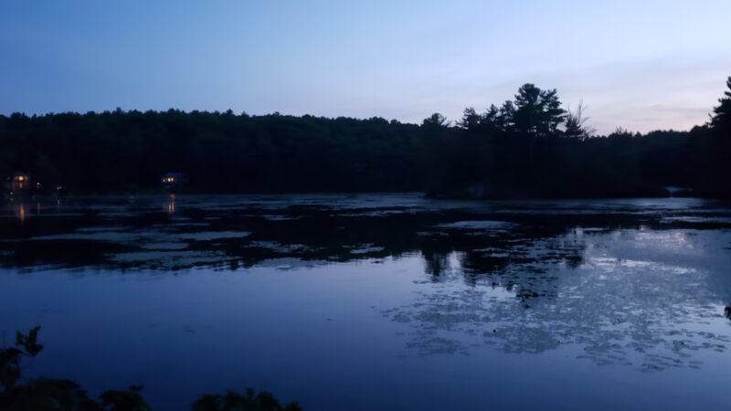 Clapp Scorgie Trails - Harvard, MA