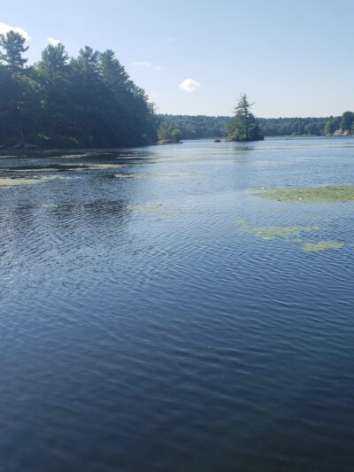Clapp Scorgie Trails - Harvard, MA