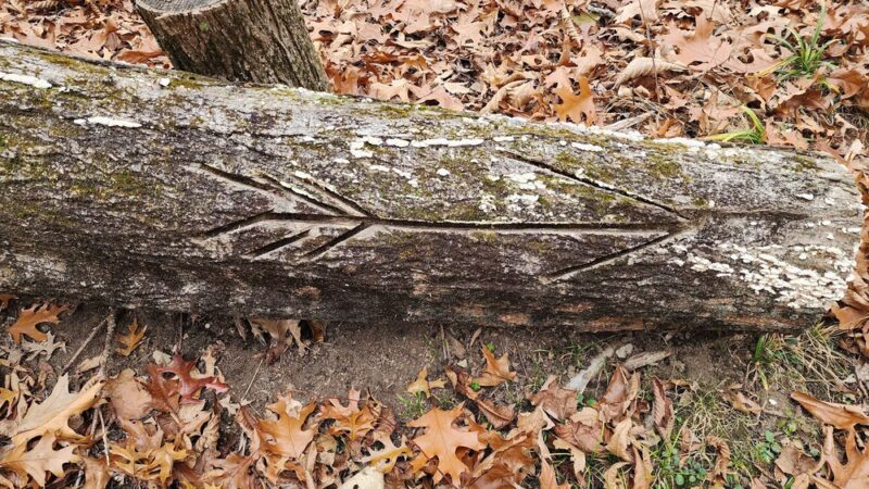 Clapp Scorgie Trails - Harvard, MA