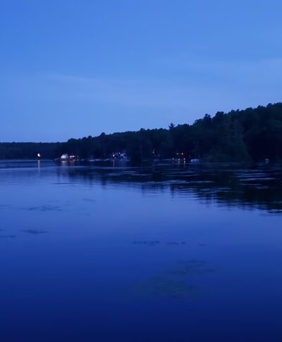 Clapp Scorgie Trails - Harvard, MA