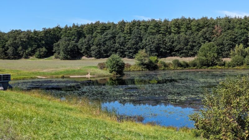 Delaney Flood Control Site - Harvard, MA