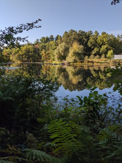 Delaney Flood Control Site - Harvard, MA