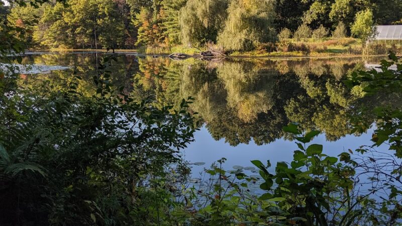 Delaney Flood Control Site - Harvard, MA