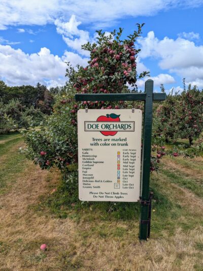 Doe Orchards - Harvard, MA