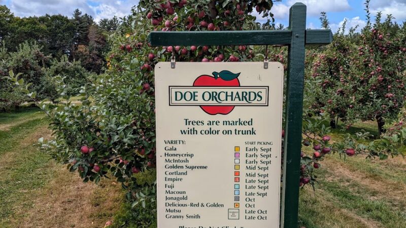 Doe Orchards - Harvard, MA