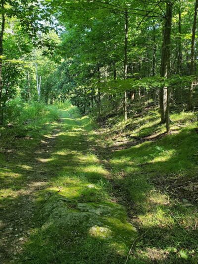 Fruitlands Trails - Harvard, MA