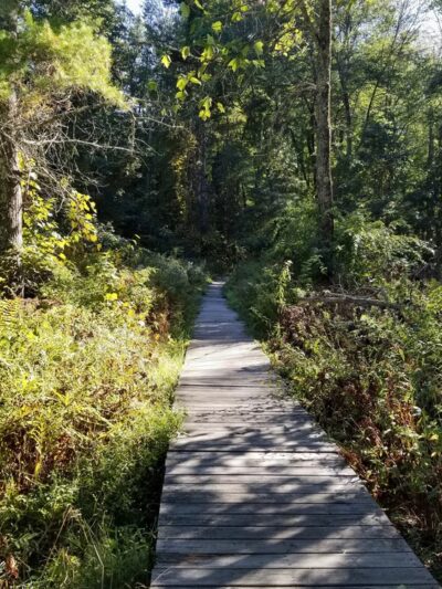 Fruitlands Trails - Harvard, MA