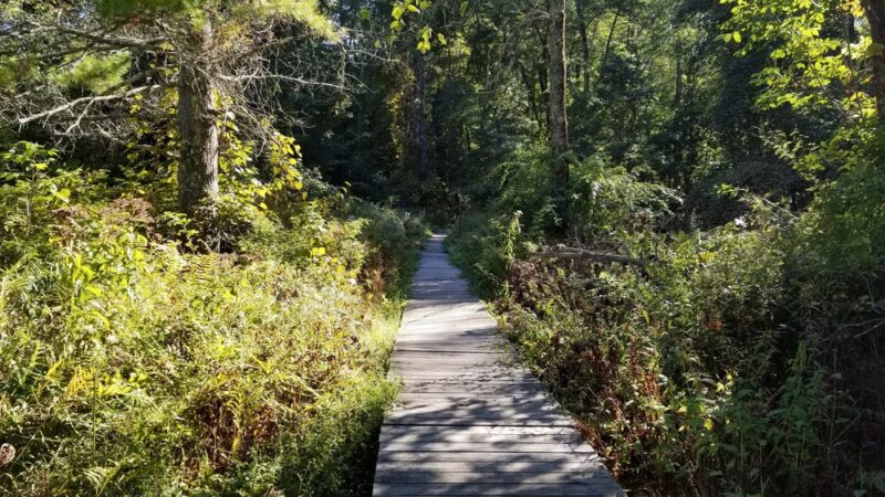 Fruitlands Trails - Harvard, MA