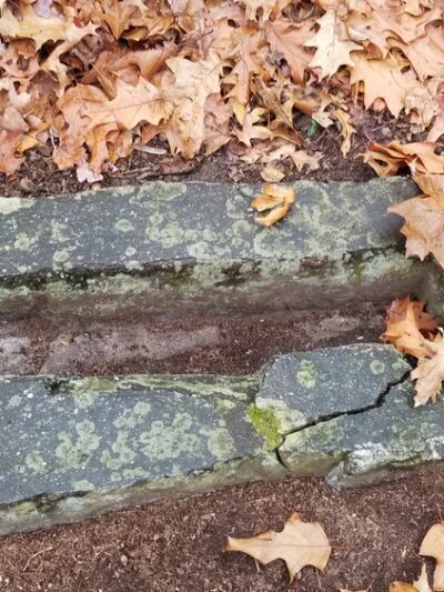 Holy Hill Conservation Area - Harvard, MA