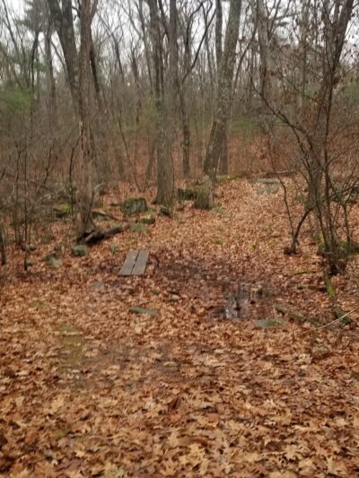 Holy Hill Conservation Area - Harvard, MA