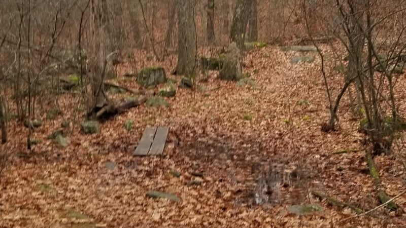 Holy Hill Conservation Area - Harvard, MA